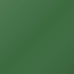 Hermes Green Teddy